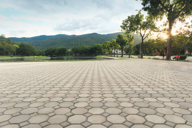 Best Decorative Driveway Pavers  in Grape Creek, TX